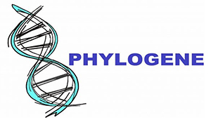 Phylogene | Les entreprises accompagnées par le BIC Innov&#39;up