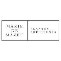Marie De Mazet